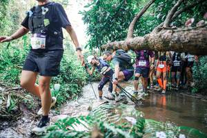 BIB: 
                            <button type="button" onclick="openModal(25473443)" class="btn btn-primary btn-sm float-right btn-popup" data-toggle="modal" data-target=".modal-high-quality">
                        <i class="fas fa-shopping-cart"></i> Add to Cart
                    </button>
                                            <button type="button" onclick="isThisMe(25473443, true)" class="btn btn-success btn-sm float-right btn-popup btn-isme hidden" data-toggle="tooltip" data-placement="bottom" title="นี่คือรูปของคุณใช่ไหม คลิกที่นี่เพื่อเอาเข้าอัลบั้ม">
                        <i class="fas fa-plus"></i> Add to album
                    </button>
                    <button type="button" onclick="isThisMe(25473443, false)" class="btn btn-warning btn-sm float-right btn-popup btn-isnotme hidden">
                        <i class="fas fa-ban"></i> Remove from album
                    </button>